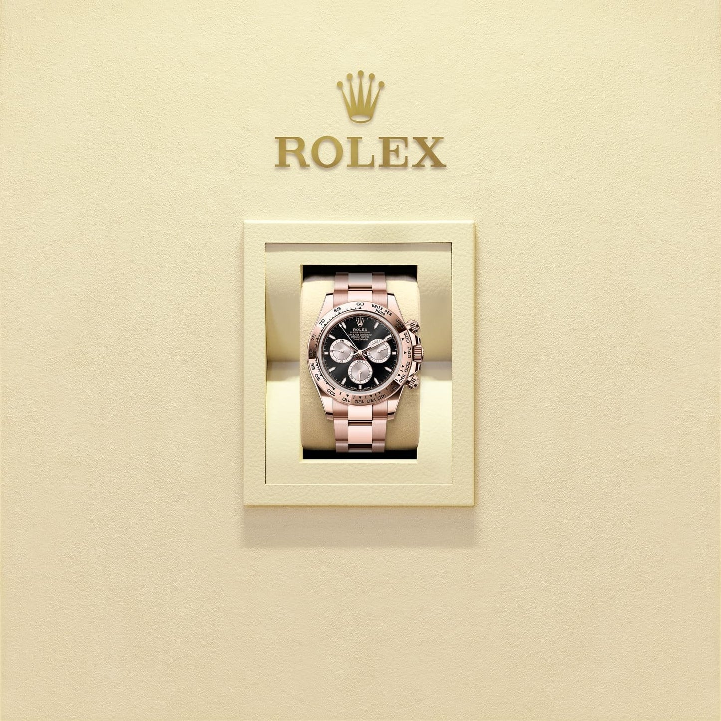 ROLEX COSMOGRAPH DAYTONA (BLACK DIAL)