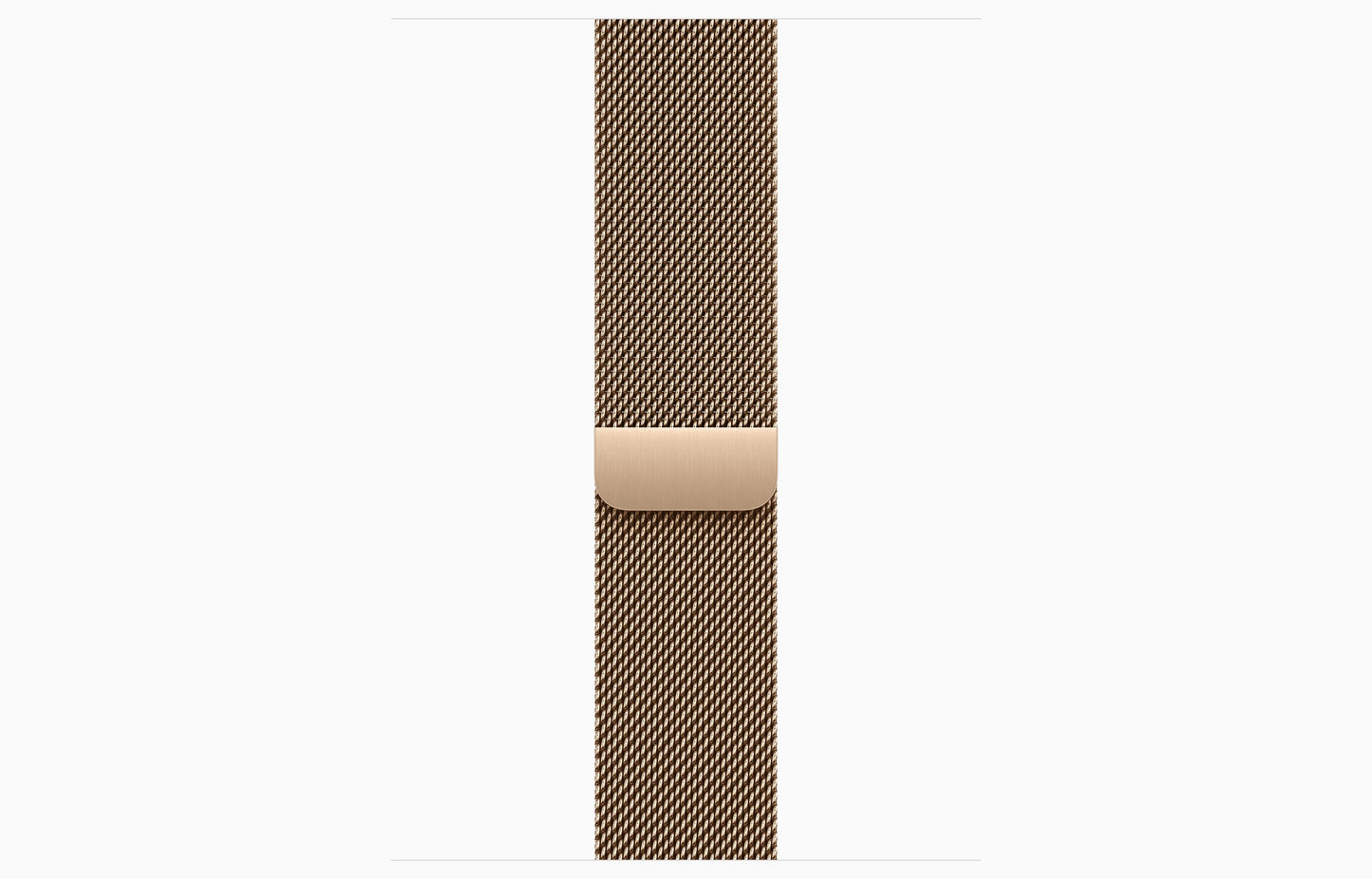 SERIES 11 STAINLESS STEEL - GOLD